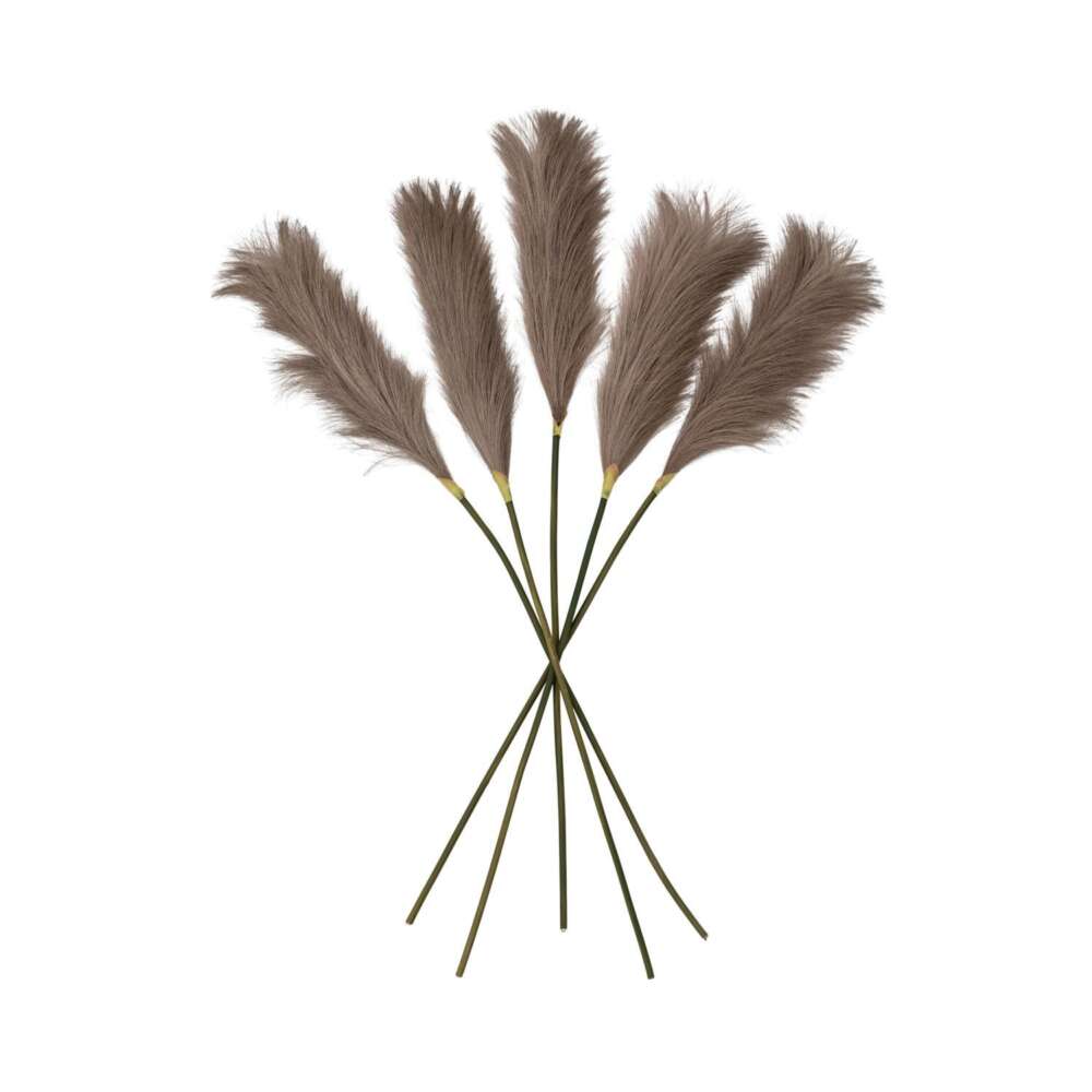 Goma Soft Feather Stem Brown (5pk) 720mm-