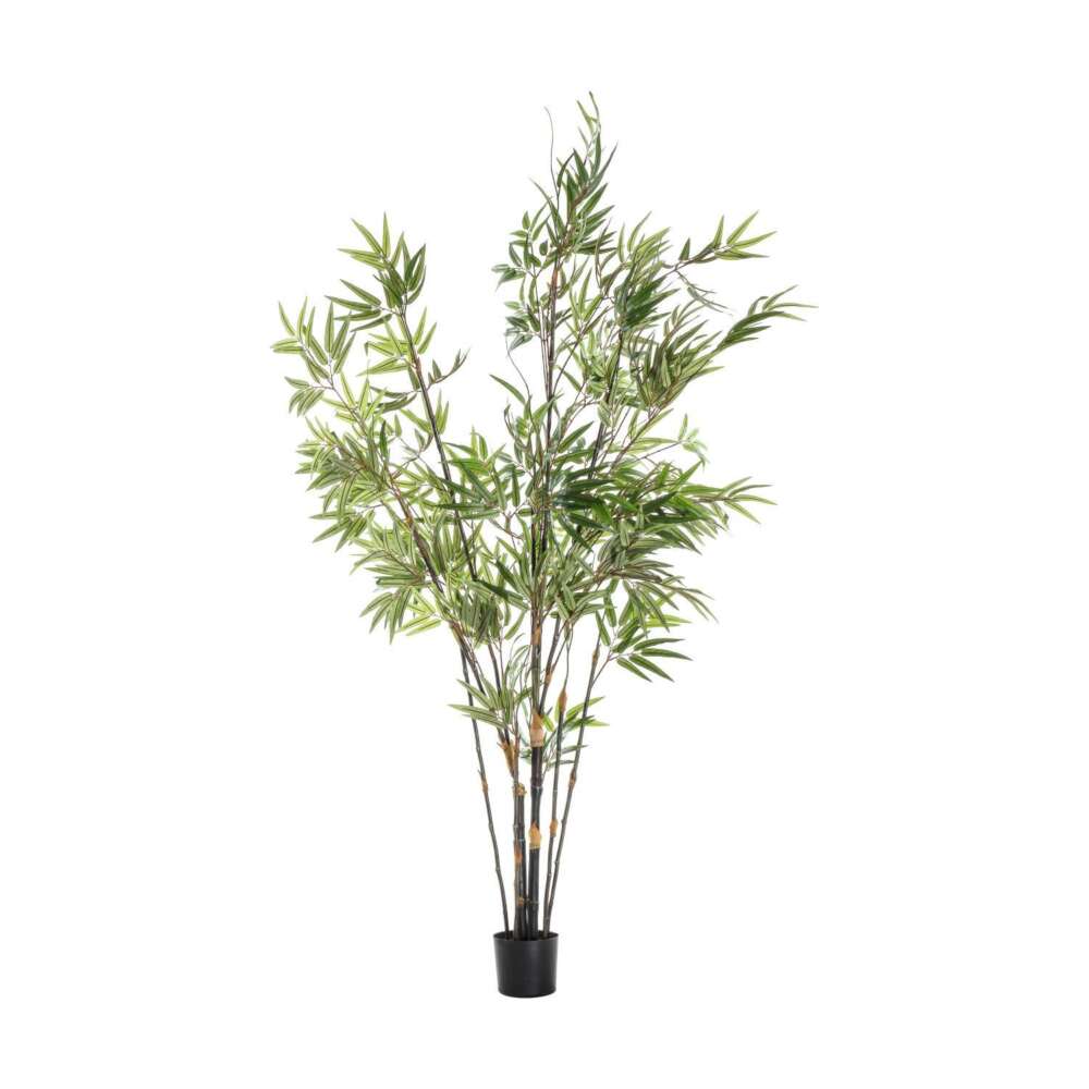 Bamboo w/859 Leaves 450x450x1520mm-