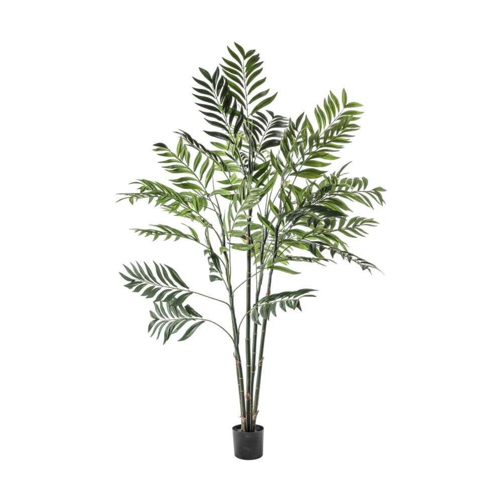 Areca Palm Tree Large 960x960x1520mm-