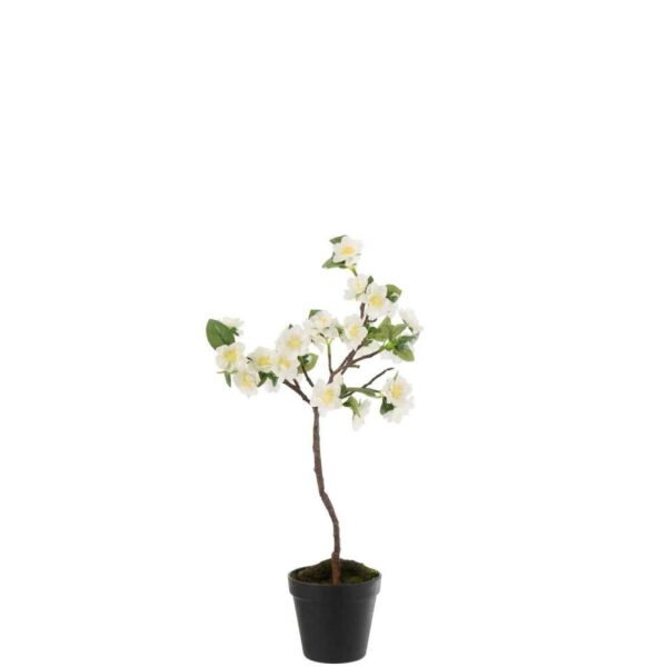 BLOSSOMTREE PLASTIC WHITE/BROWN SMALL