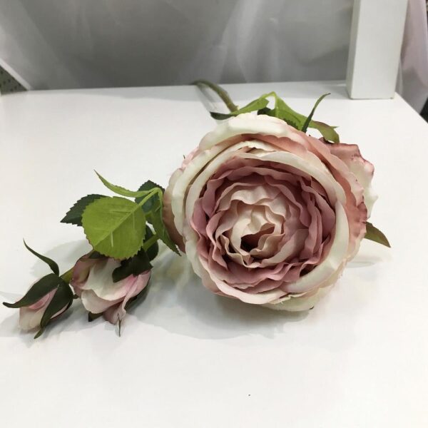 Blomst Rose 1Rose 2Knopper Sart Rosa 77C