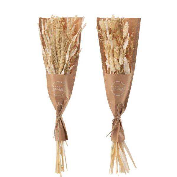 BUNCH DRIED AVANA GRASS NATURAL ASSORTMENT OF 2