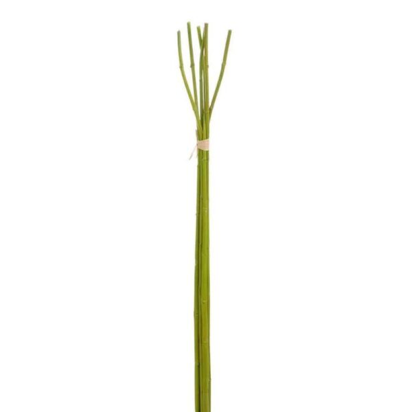 30732