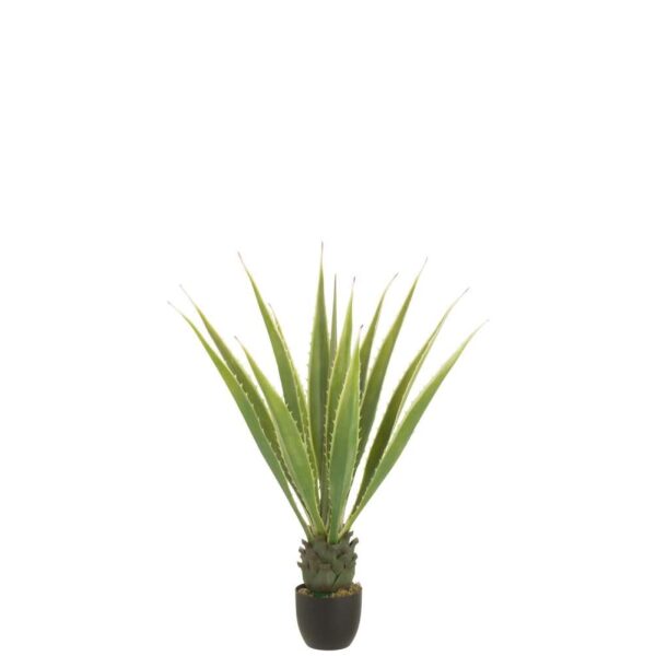 AGAVE OFF-WHITE EDGE POT ARTIFICIAL GREEN