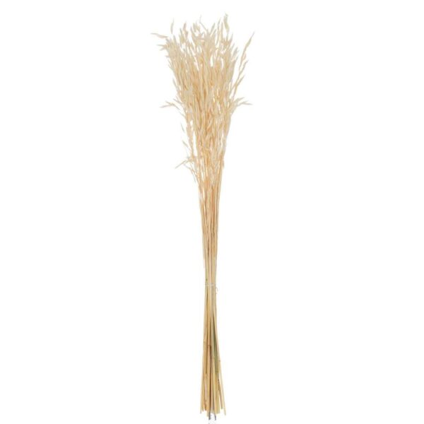 BUNDLE DRIED OATS ECRU