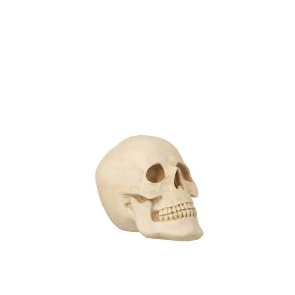 SKULL POLY BEIGE LARGE