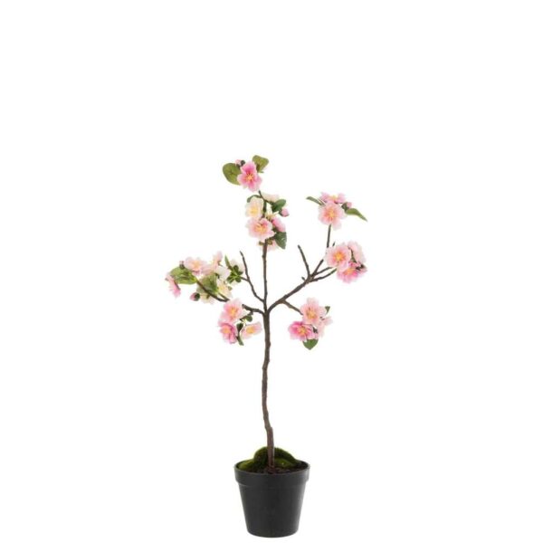 BLOSSOMTREE PLASTIC PINK/BROWN SMALL