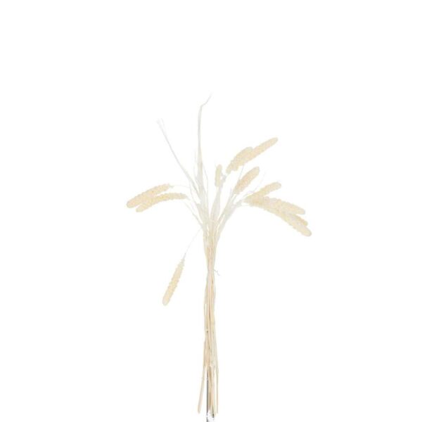 BUNDLE DRIED SPRAY MILLET ECRU