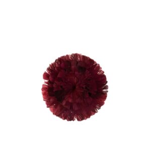 DISC DECO FEATHERS BORDEAUX