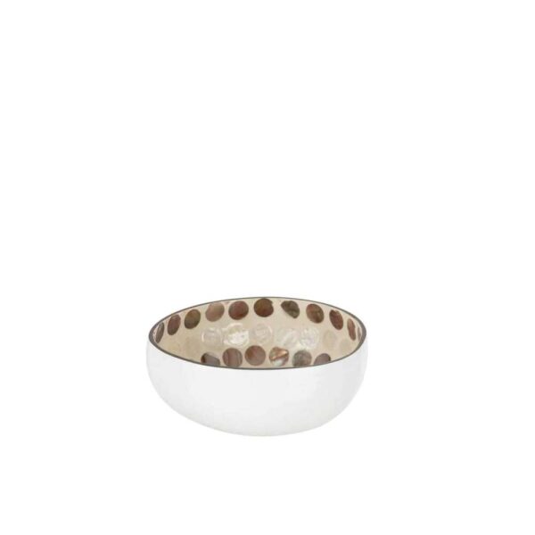 HALF COCONUT BALL NUYE NUT/PAINT BROWN/WHITE