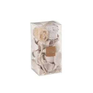 BOX DRIED NUTS WHITE