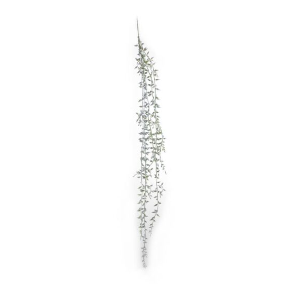 Plante Bønneplante For Heng 8X71Cm