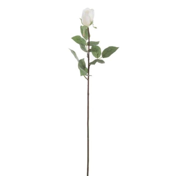 ROSE CLOSED FRESH TOUCH PLASTIC WHITE