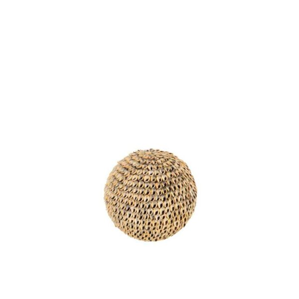 BALL SHELLS BROWN LARGE