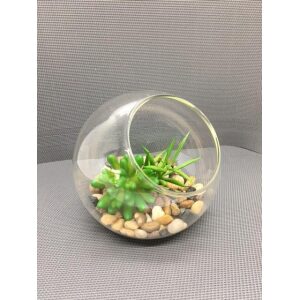 Plante i glassbolle 14x14x12 cm