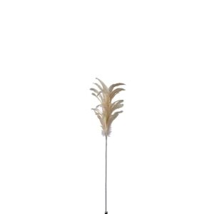 BRANCH FEATHERS BUNDLE CREAM