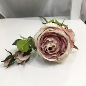 Blomst Rose 1Rose 2Knopper Sart Rosa 77C