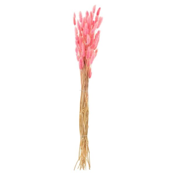 BUNDLE BUNNYTAIL DRIED PINK