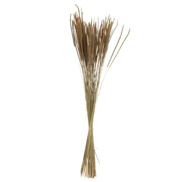 BUNDLE DRIED ORIENTAL FOUNTAIN GRASSES NATURAL