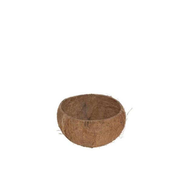 HALF COCONUT CRUDE
