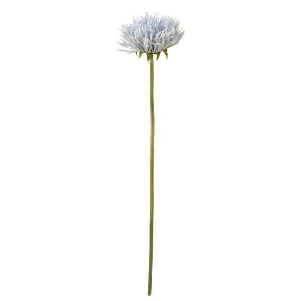 CHRYSANTH PLASTIC LIGHT BLUE