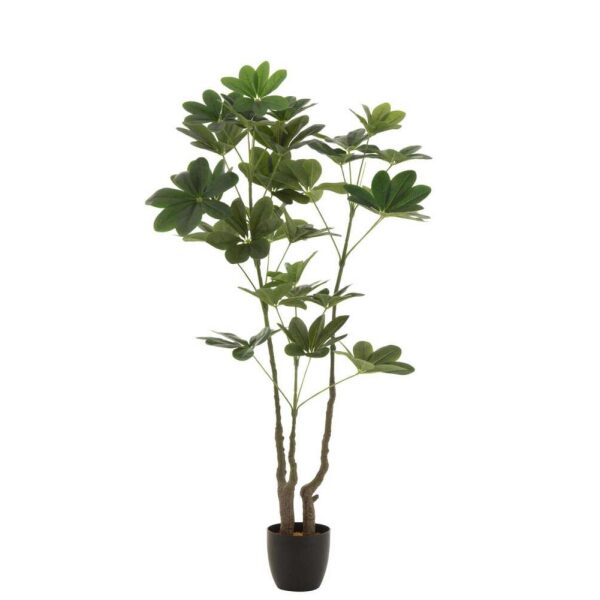 MONEY TREE POT PLASTIC GREEN L