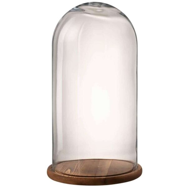 BELL JAR ROUND WOOD/GLASS TRANSPARENT/DARK BROWN LARGE
