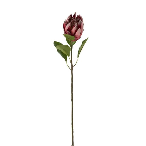 PROTEA BRANCH PLASTIC DARK RED