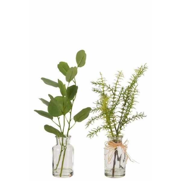 EUCALYPTUS/BRANCHES IN VASE GLASS CLEAR/PLASTIC GREEN ASSORTMENT OF 2