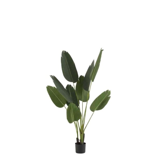 STRELITZIA PLASTIC GREEN SMALL