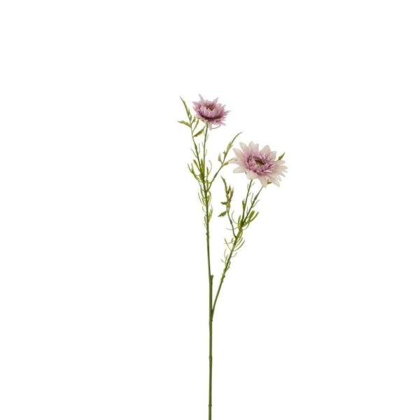 DAISY PLASTIC LIGHT PURPLE