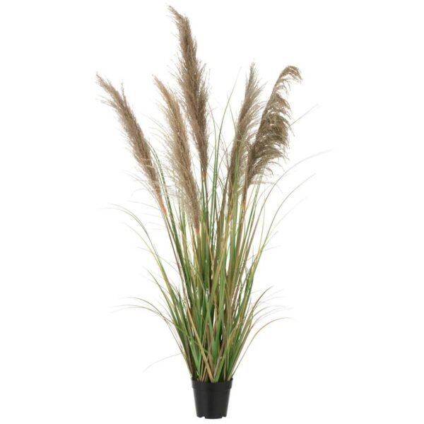 PAMPAS GRASS 5 HEADS IN POT PVC GREEN/BEIGE SMALL