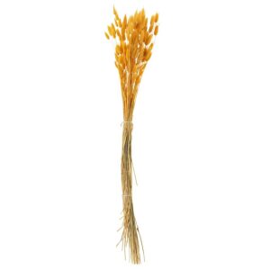 BUNDLE BUNNYTAIL DRIED GOLD