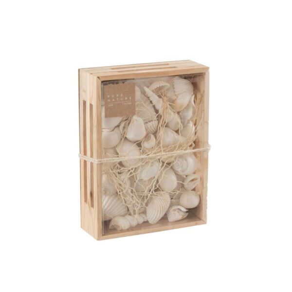 BOX RECTANGLE SHELLS WHITE