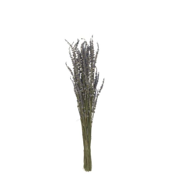 BUNDLE DRIED LAVENDER PURPLE