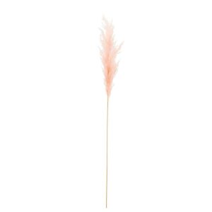 BRANCH PLUME PAMPAS LIGHT PINK