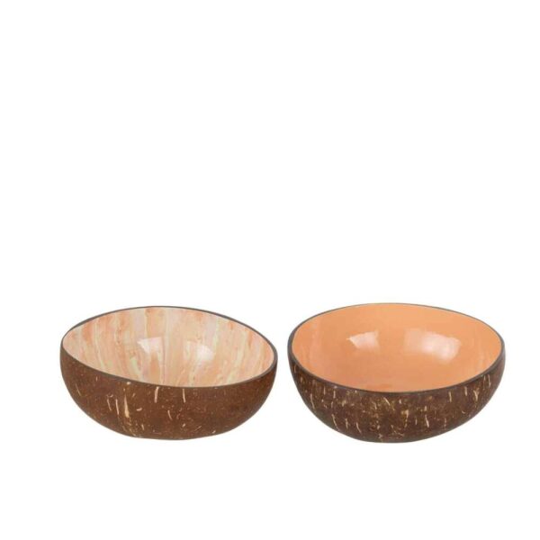 HALF COCONUT BALL NUYE NUT/PAINT ORANGE ASSORTMENT OF 2