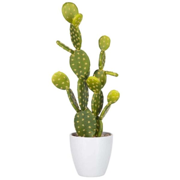 FIG CACTUS GREEN LARGE
