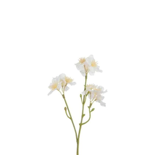BLOESEM KERSENBOOM WIT/LICHT GEEL SMALL 25CM