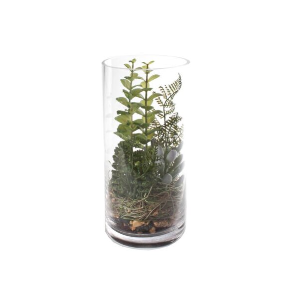 Sukkulent Miks M/Vase Grønn 12X25Cm