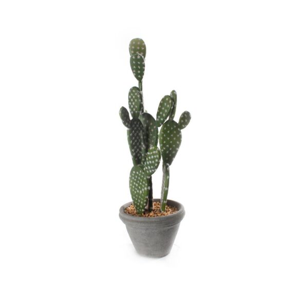 Kaktus M/Potte Sement 23X50Cm