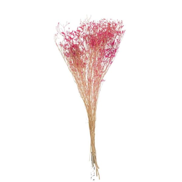 BUNDLE DRIED GYPSOPHILIA FUCHSIA