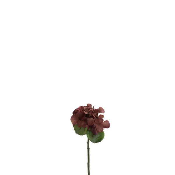 HYDRANGEA PLASTIC BROWN SMALL