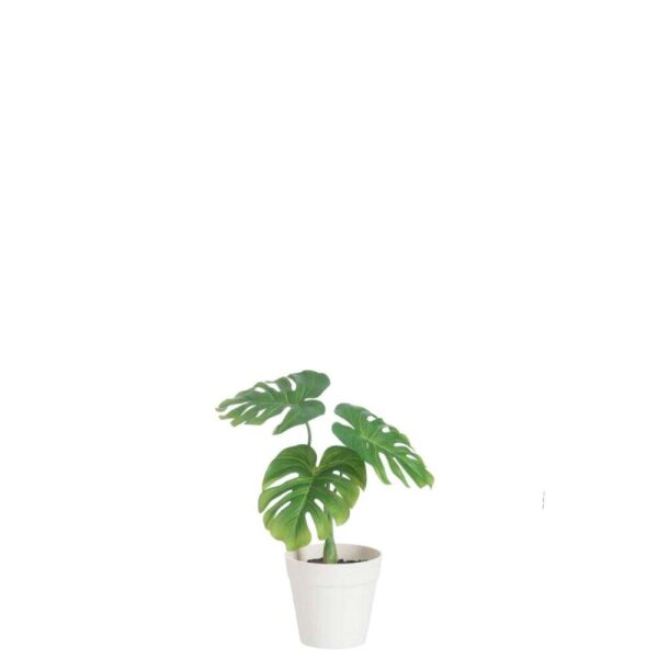 LEAF PHILO IN POT PLASTIC GREEN/WHITE SMALL