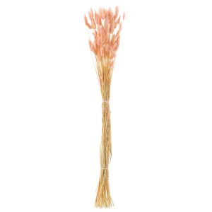 BUNDLE BUNNYTAIL DRIED LIGHT PINK