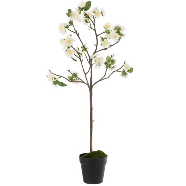 BLOSSOMTREE PLASTIC WHITE/BROWN MEDIUM