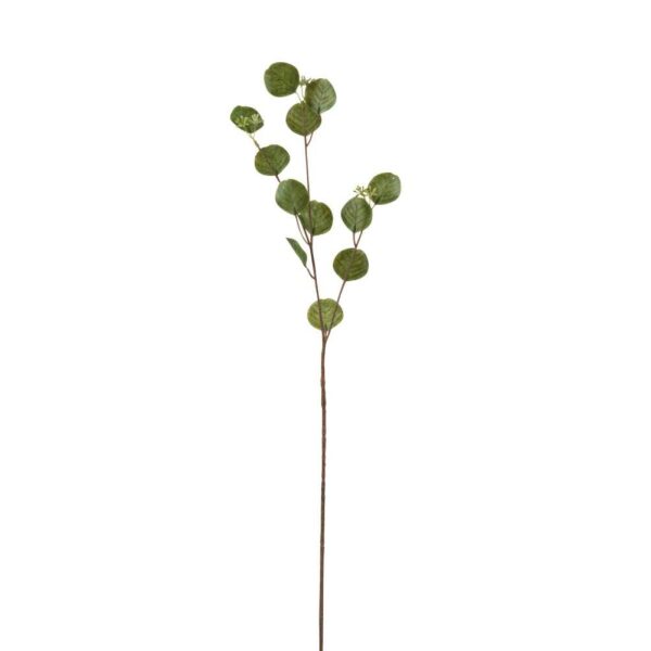 BRANCH HONESTY PLASTIC GREEN