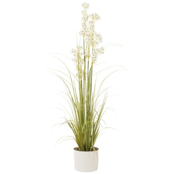 ALLIUM IN POT PLASTIC GREEN/WHITE LARGE