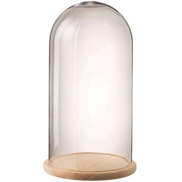 BELL JAR ROUND WOOD/GLASS TRANSPARENT/NATURAL LARGE