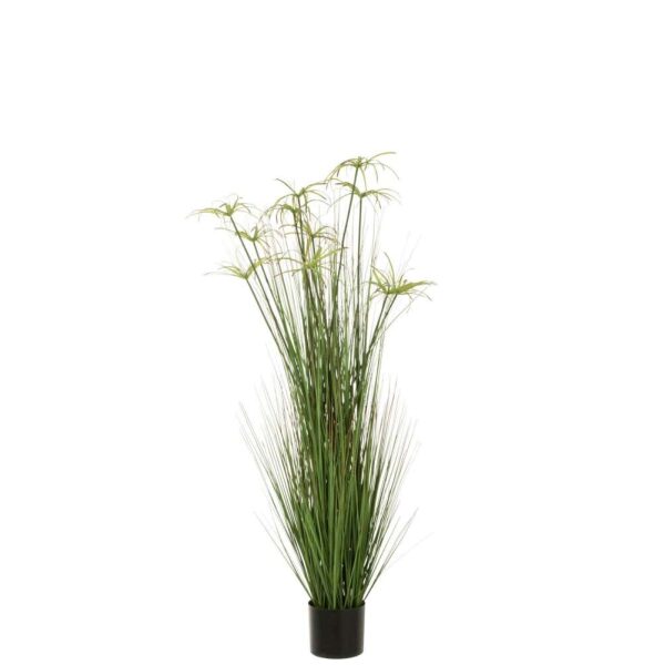 CYPERUS ALTERNIFOLIUS 11 HEADS IN POT PVC GREEN LARGE